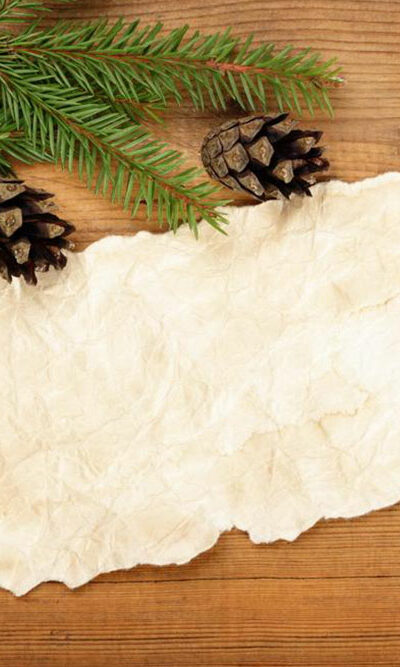 How to choose the right Christmas tree skirt