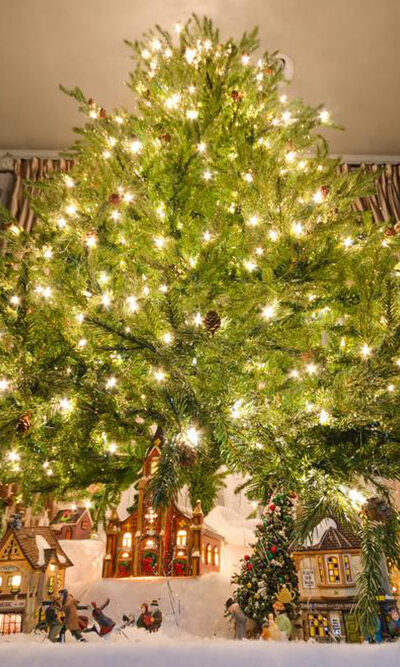 How to choose the right sized Christmas tree for your home