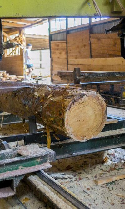 How to choose a portable sawmill?