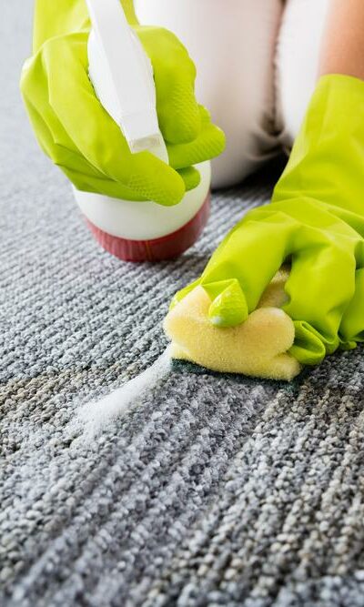 How to remove coffee stains, pet mess, and ink stains from your carpet