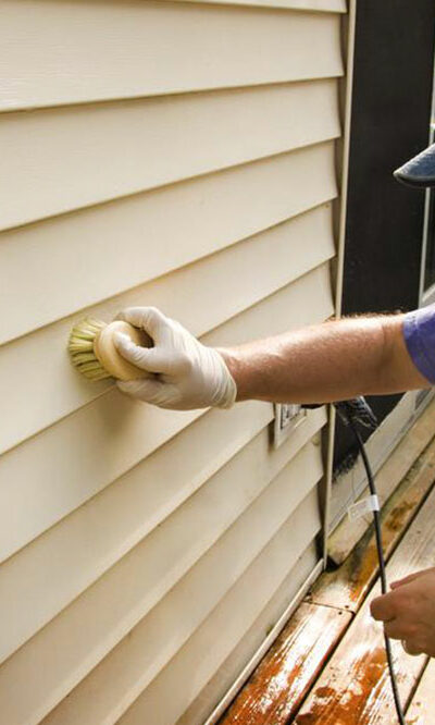 Home mold removal &#8211; Getting the right service