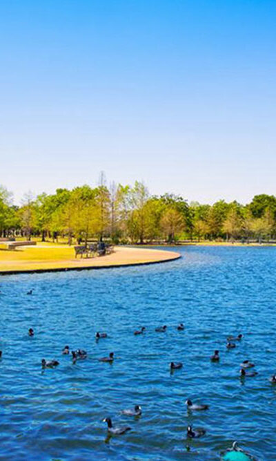 Here&#8217;s what you will find in the Texas waters during summer and spring