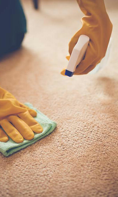 Here&#8217;s why and how to choose the best carpet stain removers