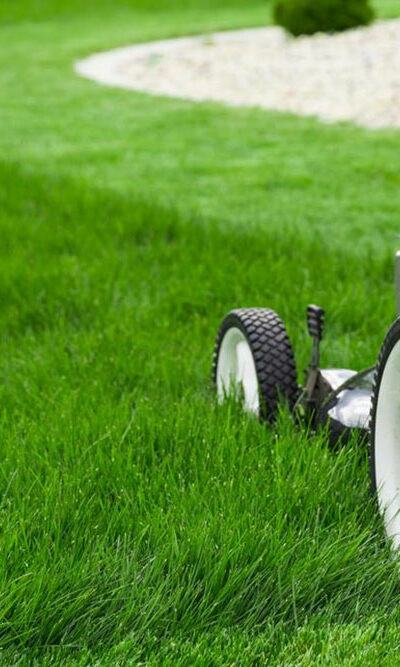 Here&#8217;s how you can choose the best lawn edger