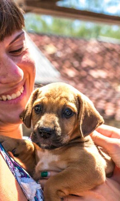 Important Factors to Consider Before Adopting Puppies