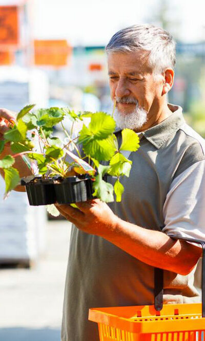 Love gardening? Here&#8217;s how you can start a garden in your backyard