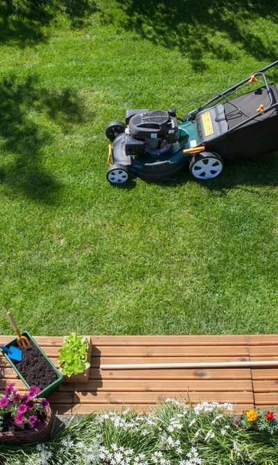 Lawnmowers Worth Buying During Sales