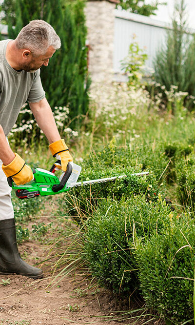 Lawn care services &#8211; what you need to know