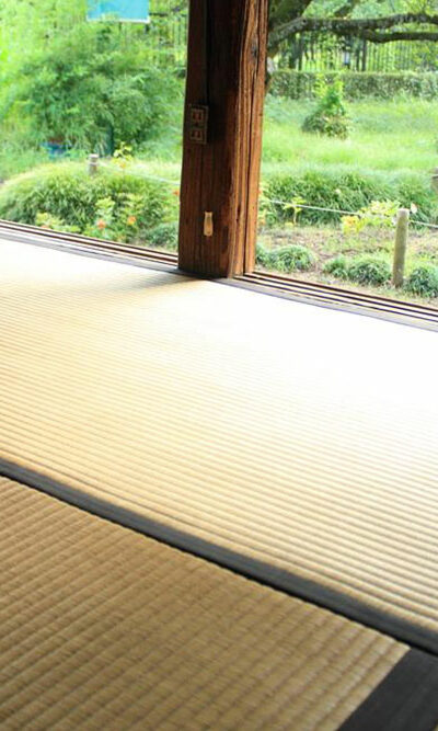 Learn about various floor mat options available for your home