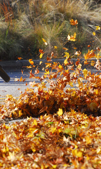 List Of The Best Leaf Blowers In The Market