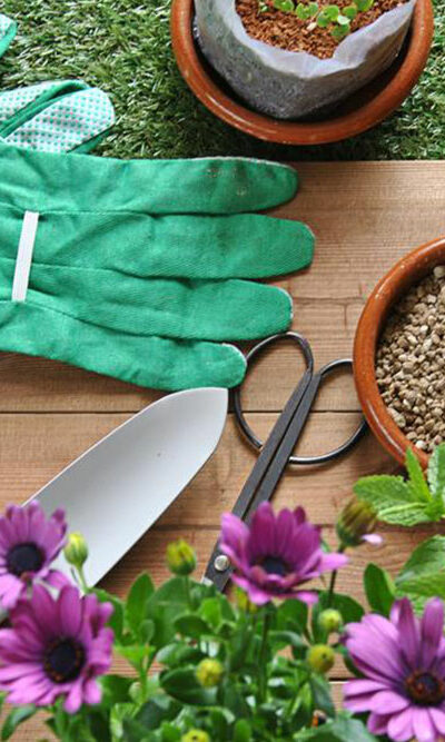 Make your gardening easy and effortless using the right garden tools