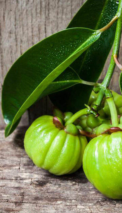 Some cons associated with garcinia cambogia