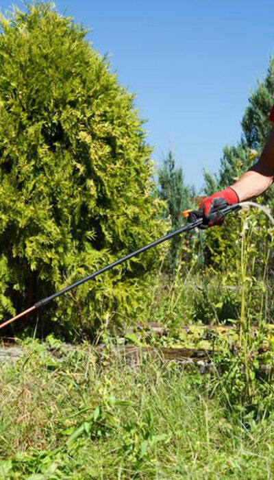 Safety guidelines to follow when removing weeds from the garden