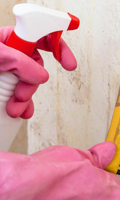 Simple cleaning remedies to ward off mold and mildew growth