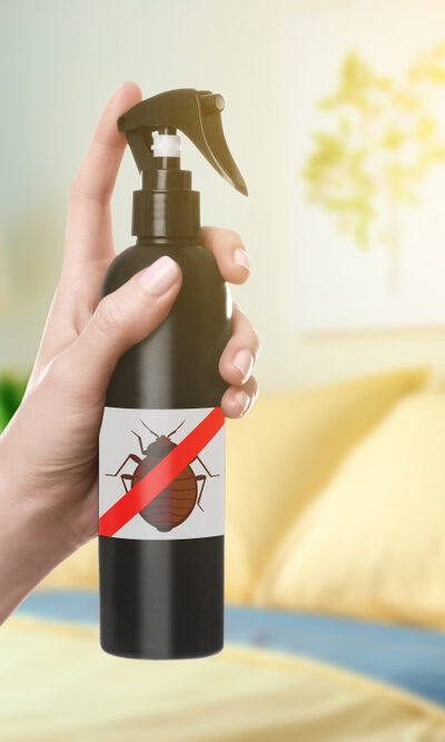 Popular Bed Bug Sprays and How to Use Them