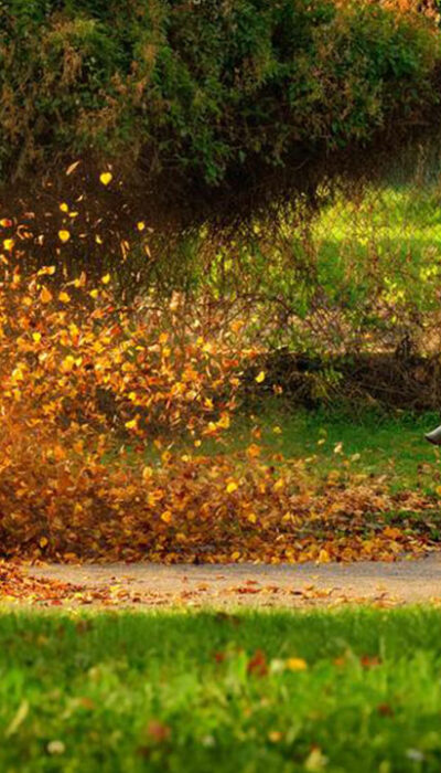 Popular affordable leaf blowers under $100