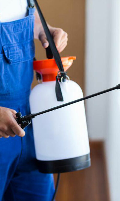 Popular pest control services in the country