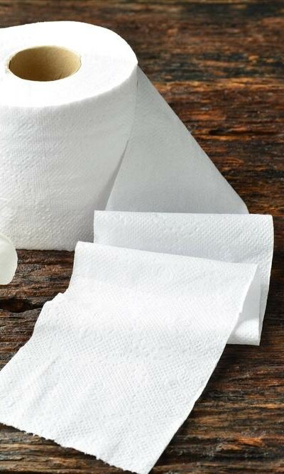 Paper towel wholesale dealers and manufacturers