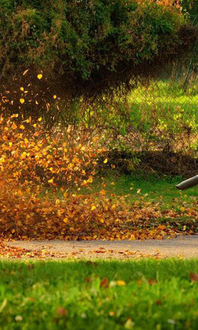 Planning on buying a leaf blower? Here&#8217;s what you need to know