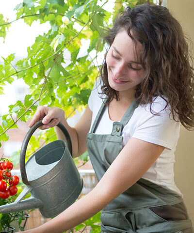 Why You Should Protect Your Plants With a Water Spray