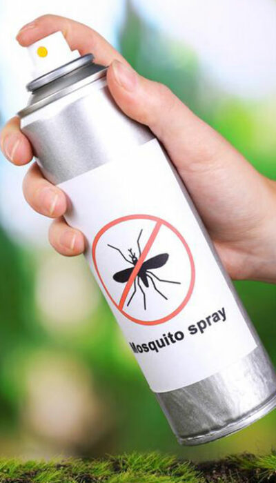 Why are mosquito control measures important for you?