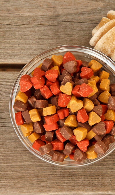 What Kind Of Food Is Best For Your Pet Dog