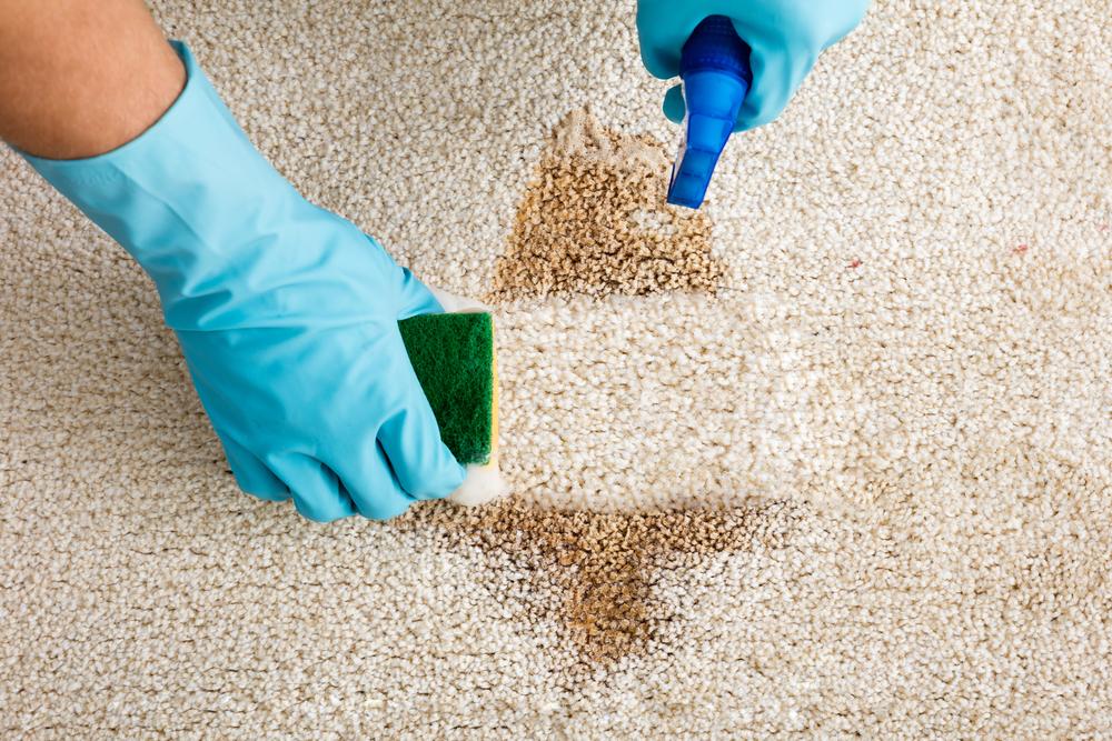 Top 6 ways to keep your carpet clean