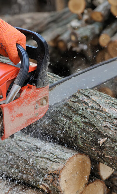 Top Brands to Buy a Chainsaw From