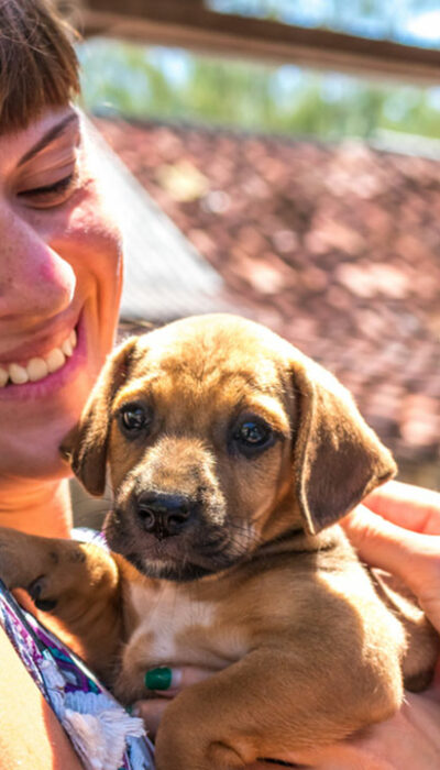 Top ten puppy-adoption centers