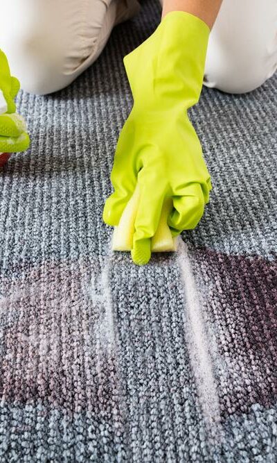 The Best Carpet Stain Removers You Must Know About