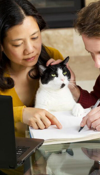 Things you should know about pet insurance