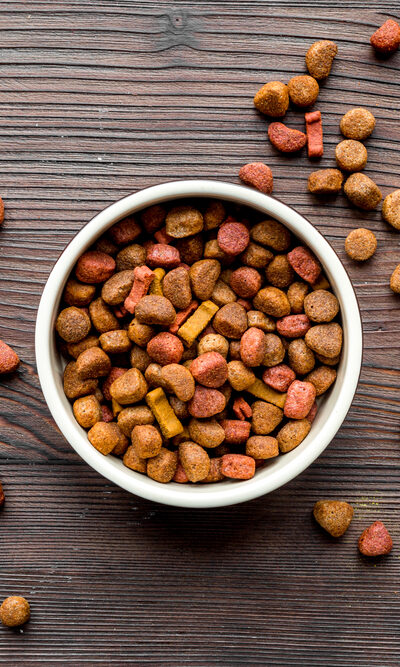 Tips for Buying the Best Dog Food