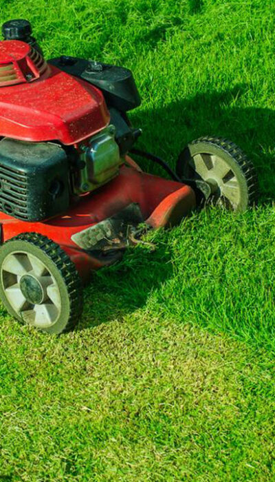 Tips for choosing the best lawn mower