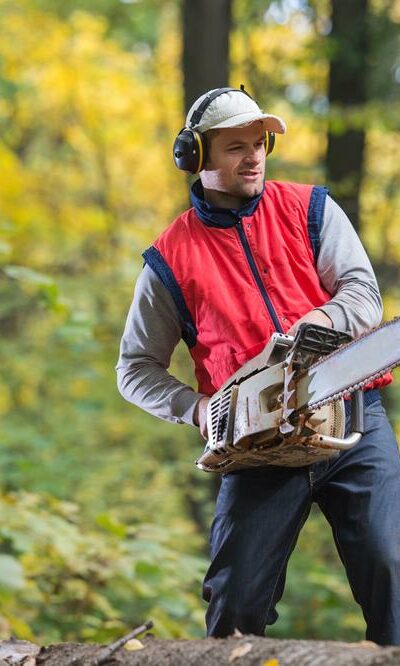 Tips to buy chainsaw and save money without quality compromise