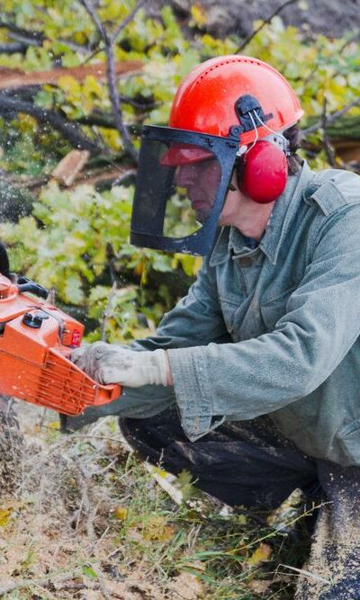 Tips to buy chainsaw for the first time