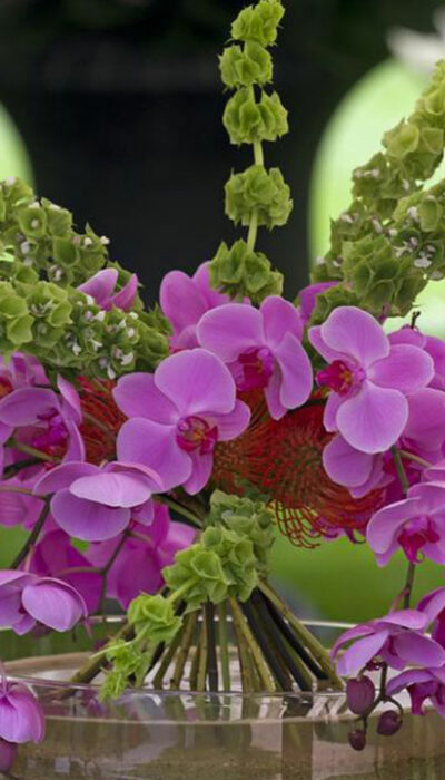 Tips to grow orchids indoors in water without soil