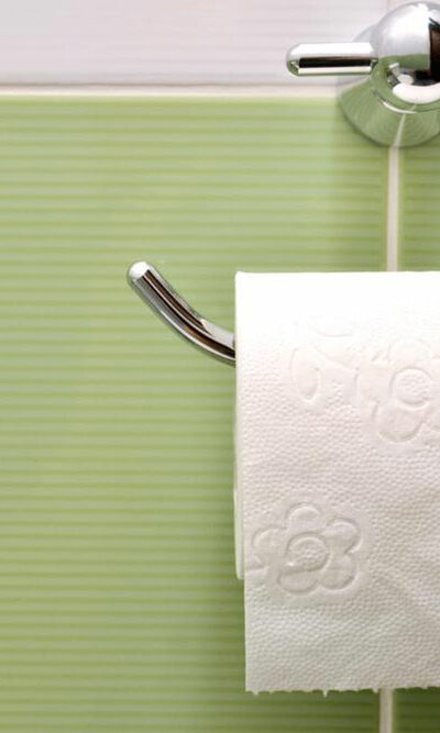 Types of bathroom tissue holders