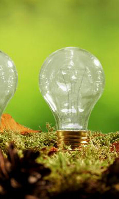 Types of light bulbs