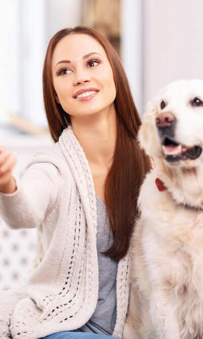 Types of removers that can help you fight pet odor!