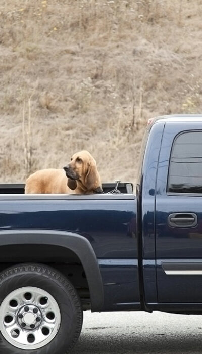 Types of truck bed covers