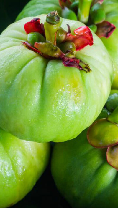 Understanding how Garcinia Cambogia works