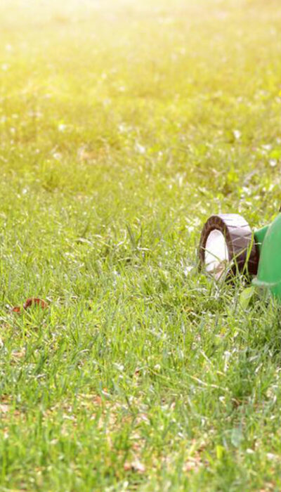 Your guide to choosing an ideal lawn mower