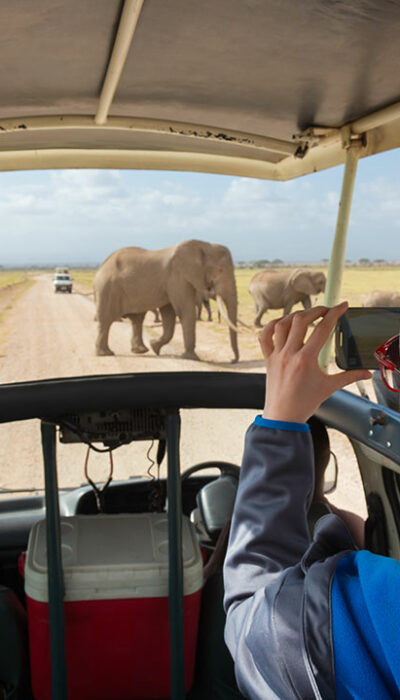 3 African safaris that will offer the best adventure