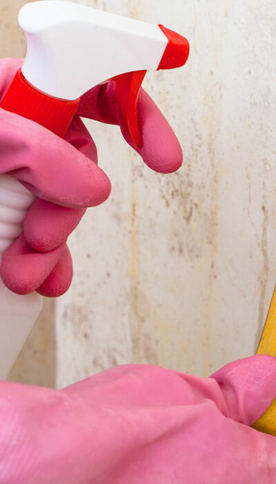 3 natural ways to remove mold