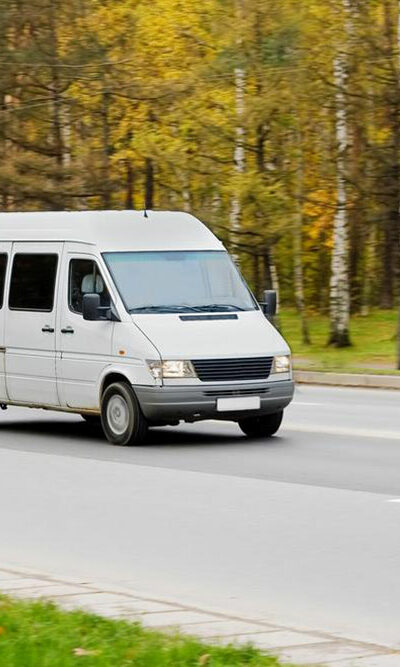 3 best mini cargo vans for your business