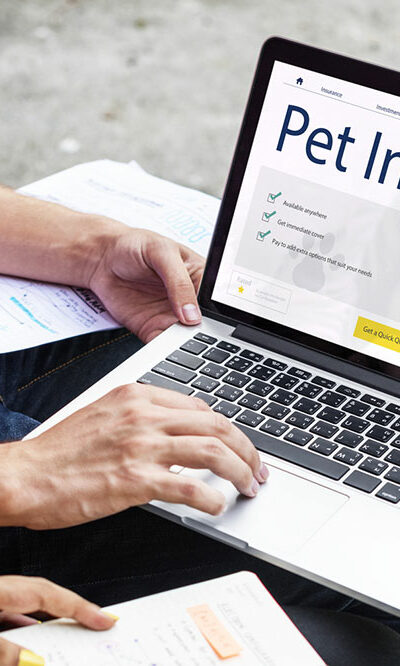 3 essential tips for choosing the right pet insurance plan