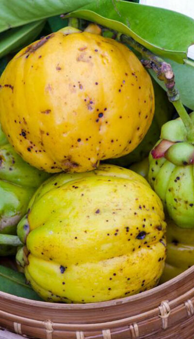 7 Profound Side Effects Of Garcinia Cambogia