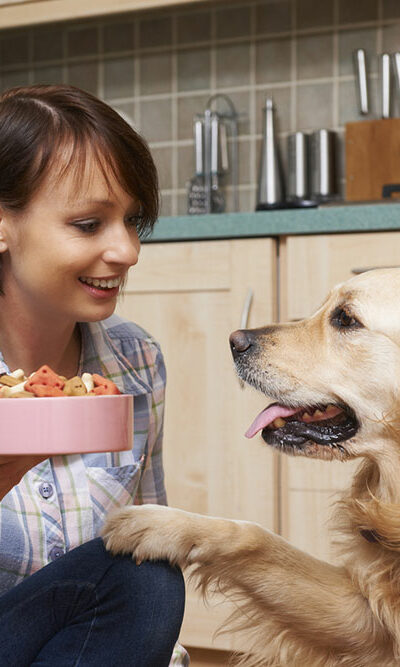 7 healthy dog food brands for your beloved pet