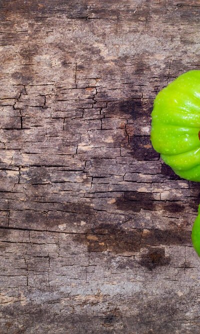 4 Commonly Asked Questions About Garcinia Cambogia