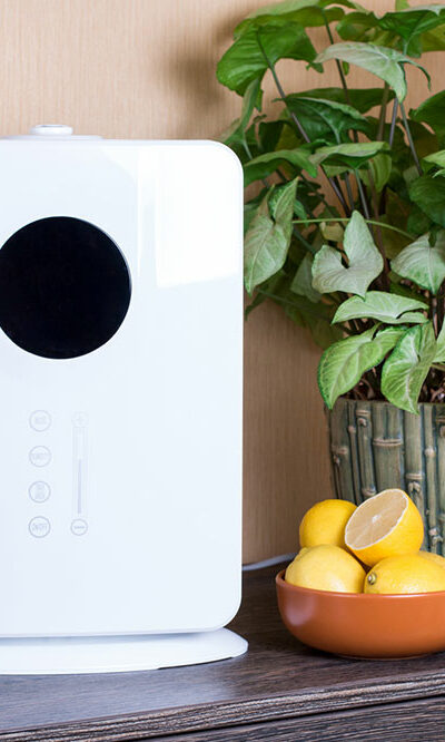 4 best air purifiers in the market right now